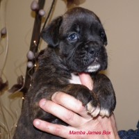 /album/fotogaleria-vrh-m-litter-m-miot-m-8-12-2013/dscf7629-jpg/