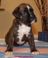 /album/fotogaleria-vrh-m-litter-m-miot-m-8-12-2013/dscf7684-jpg/