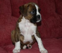 /album/fotogaleria-vrh-m-litter-m-miot-m-8-12-2013/dscf7918-jpg/