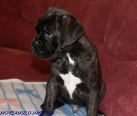 /album/fotogaleria-vrh-m-litter-m-miot-m-8-12-2013/dscf7964-jpg/