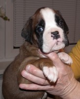 /album/fotogaleria-vrh-d-litter-d-miot-d-18-12-2019/dscf4909-jpg/