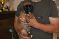 /album/vrh-a3-litter-a3-miot-a3/dsc-6056-jpg/