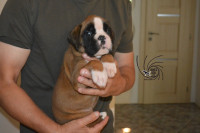 /album/vrh-a3-litter-a3-miot-a3/dsc-6078-jpg/