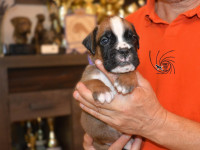 /album/vrh-b-litter-b-miot-b/dsc-6754-jpg/