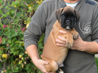 /album/vrh-b-litter-b-miot-b/dsc-7373-jpg/