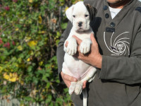 /album/vrh-b-litter-b-miot-b/dsc-7393-jpg/