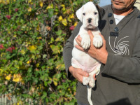 /album/vrh-b-litter-b-miot-b/dsc-7398-jpg/