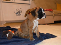 /album/vrh-b-litter-b-miot-b/dsc-7476-jpg/