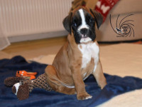 /album/vrh-b-litter-b-miot-b/dsc-7479-jpg/