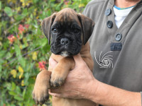 /album/vrh-b-litter-b-miot-b/dsc-7367-jpg/