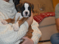 /album/vrh-b-litter-b-miot-b/dsc-7432-jpg/