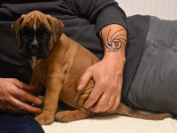 /album/vrh-b-litter-b-miot-b/dsc-7353-jpg/