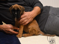 /album/vrh-b-litter-b-miot-b/dsc-7352-jpg/