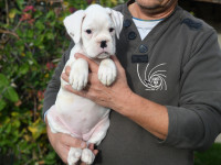 /album/vrh-b-litter-b-miot-b/dsc-7381-jpg/