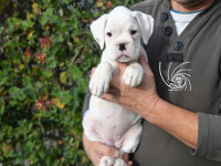 /album/vrh-b-litter-b-miot-b/dsc-7376-jpg/