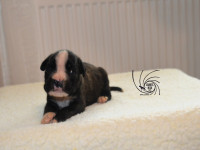 /album/fotogaleria-vrh-c3-litter-c3-miot-c3/dsc-7750-jpg/