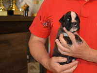 /album/fotogaleria-vrh-c3-litter-c3-miot-c3/dsc-7680-jpg/