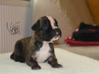 /album/fotogaleria-vrh-c3-litter-c3-miot-c3/dsc-7701-jpg/
