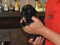 /album/fotogaleria-vrh-c3-litter-c3-miot-c3/dsc-7709-jpg/
