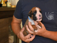 /album/vrh-e3-litter-e3-miot-e3/dsc-8165-jpg/