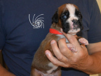 /album/vrh-e3-litter-e3-miot-e3/dsc-8193-jpg/