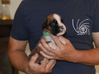 /album/vrh-e3-litter-e3-miot-e3/dsc-8133-jpg/
