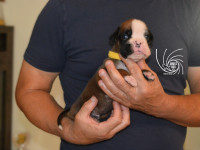 /album/vrh-e3-litter-e3-miot-e3/dsc-8101-jpg/
