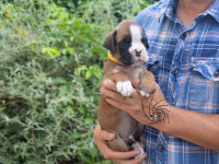 /album/vrh-e3-litter-e3-miot-e3/dsc-8458-jpg/