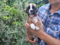/album/vrh-e3-litter-e3-miot-e3/dsc-8431-jpg/