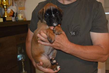 ANOUK LILLIE- reserved